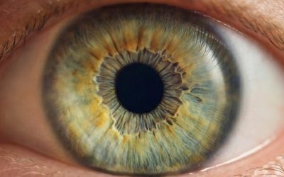 What Your Optometrist Looks for During a Dilated Eye Exam